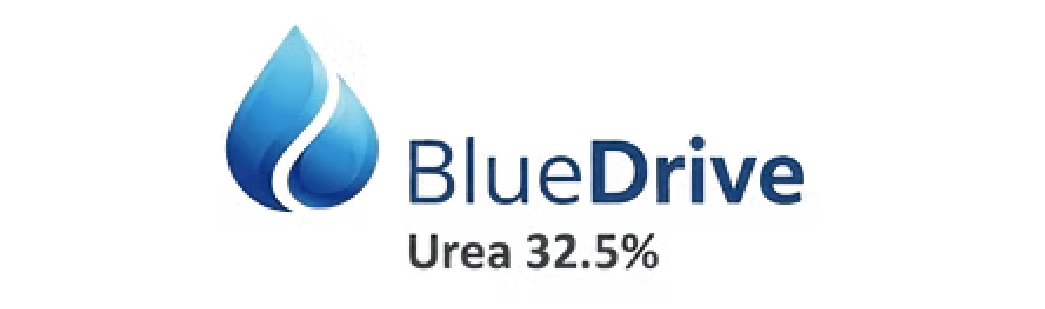 BlueDrive